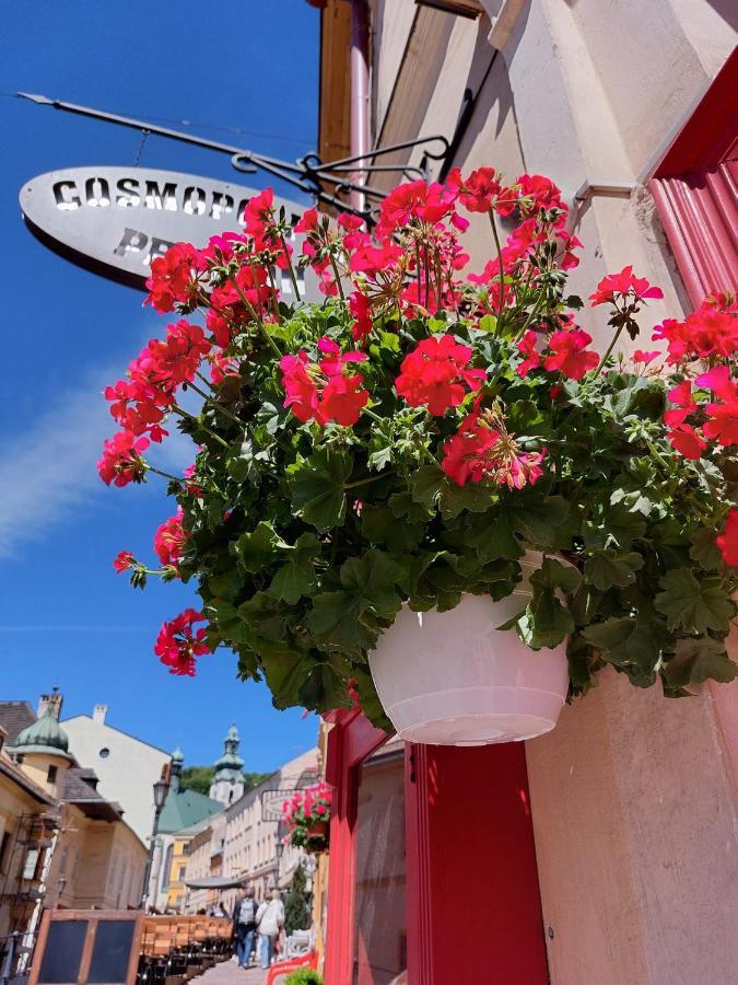 Penzion Cosmopolitan Ii. Banska Stiavnica Exterior foto